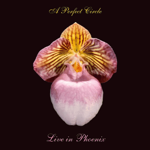 A Perfect Circle : Live in Phoenix